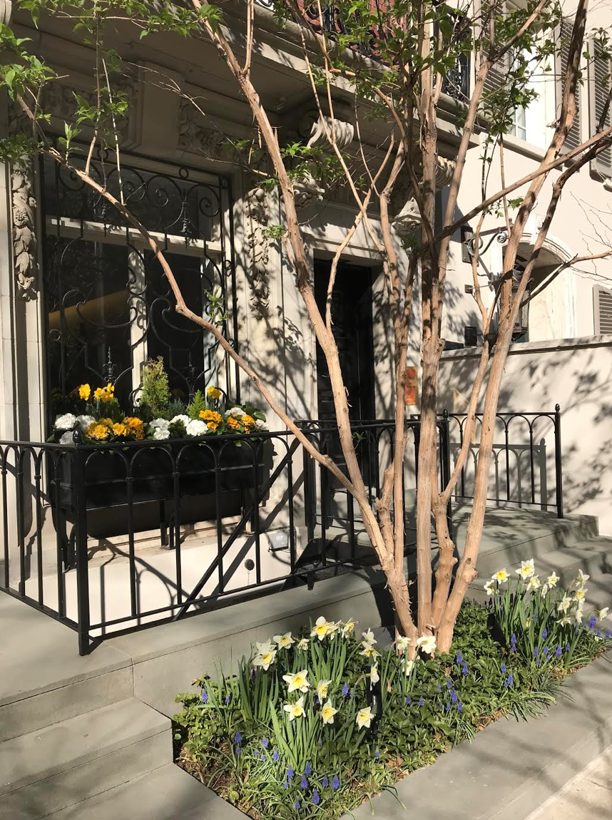 Springtime in New York Prima Darling
